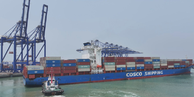 2024年上半年海南港口集装箱吞吐量大涨